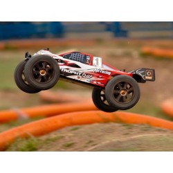 TROPHY TRUGGY FLUX 2.4G... 3