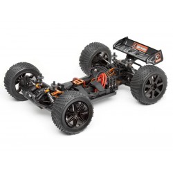 TROPHY TRUGGY FLUX 2.4G... 5