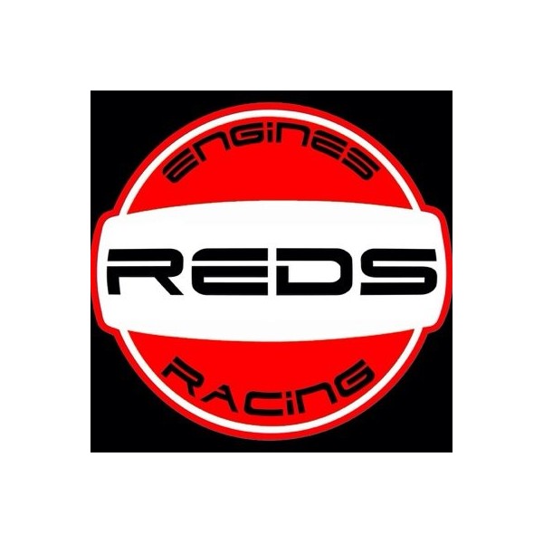 REDS - BRUSHLESS MOTOR V8...