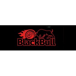 Automodello Radiocomandato... 2