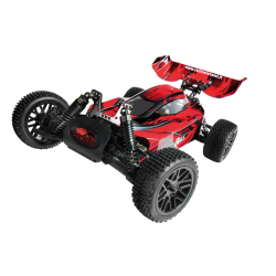 RC Car Blackbull EVO BGY... 5